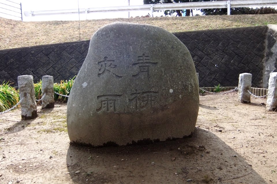 Mitohakkei Aoyagi yau 01