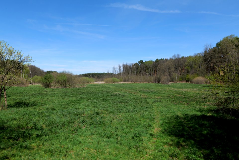 Mittelleber 2021-05-09 10
