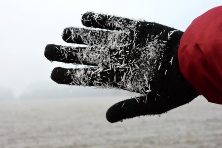 Hand frost cold