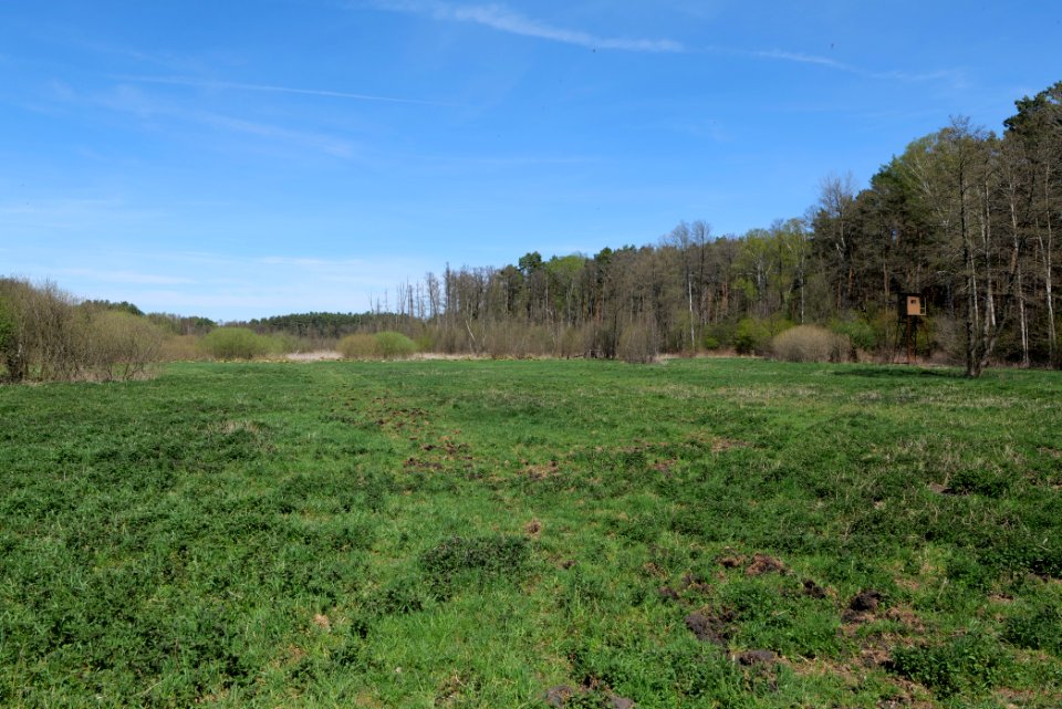 Mittelleber 2021-05-09 01