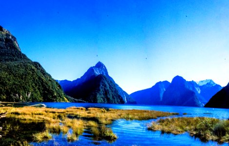 Mitre Peak Milford Sound (263481037)