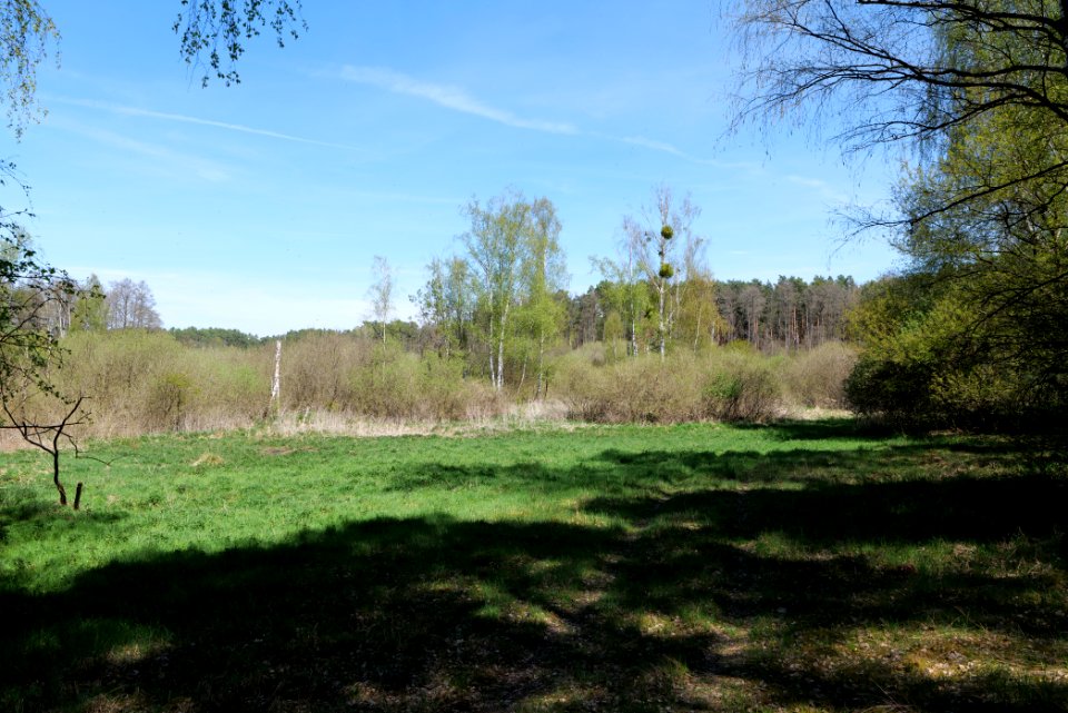 Mittelleber 2021-05-09 12