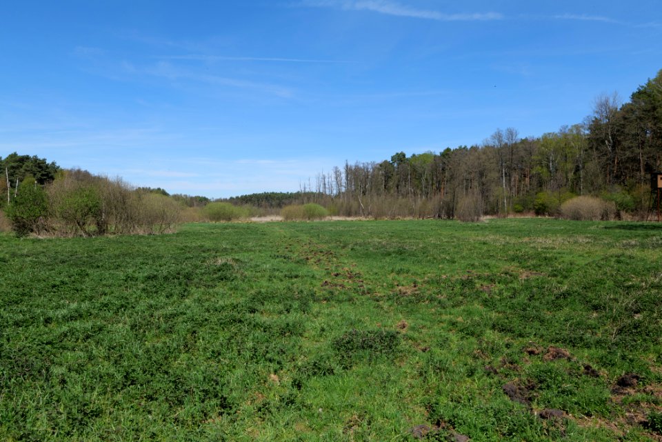 Mittelleber 2021-05-09 06