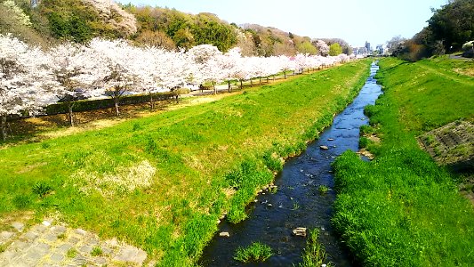 Mito ibaraki sakasa river 01