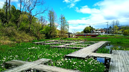 Mito ibaraki sakasa river 11