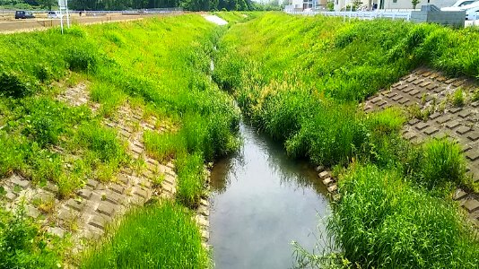 Mito ibaraki sakasa river 03