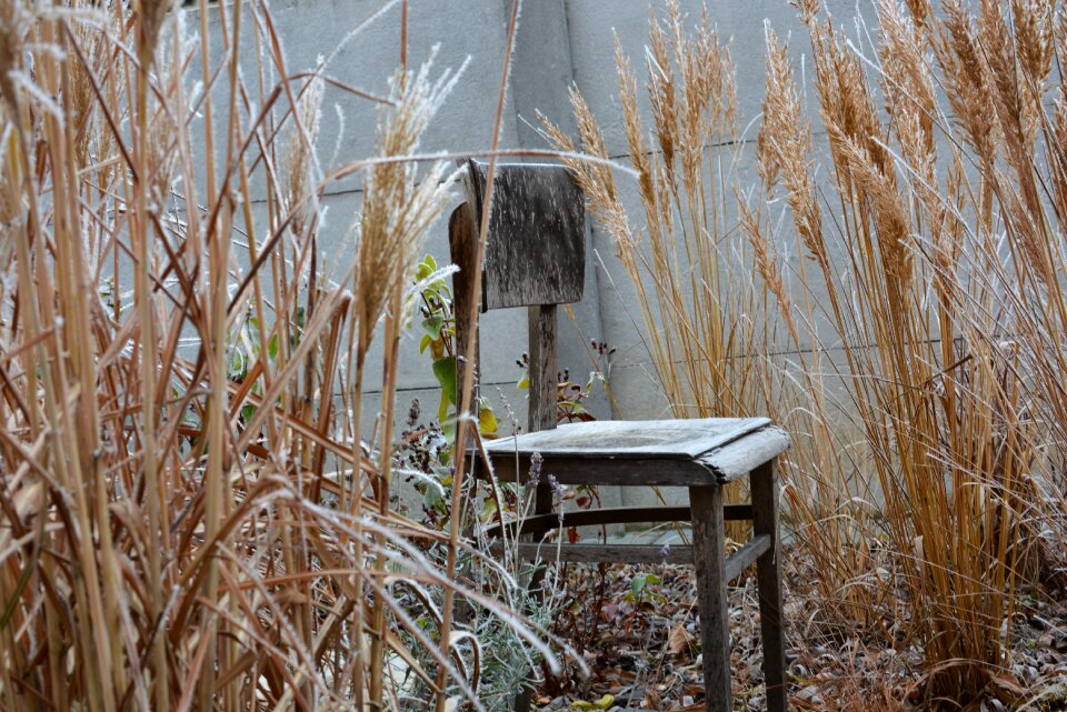 Chair frost outdoors