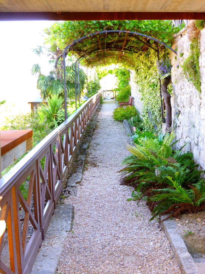 Miranda de Ebro - Centro de Interpretación de la Miranda Antigua (CIMA), Jardín Botánico 23