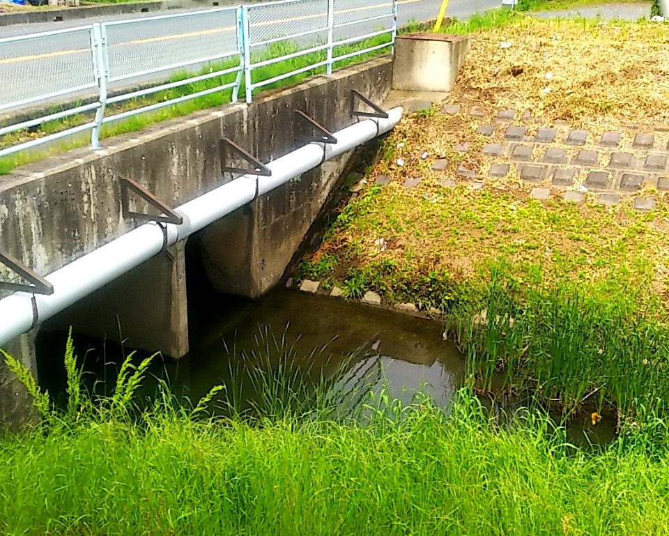 Mito ibaraki sakasa river 14