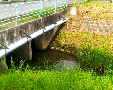 Mito ibaraki sakasa river 14