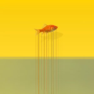 Fish art drops