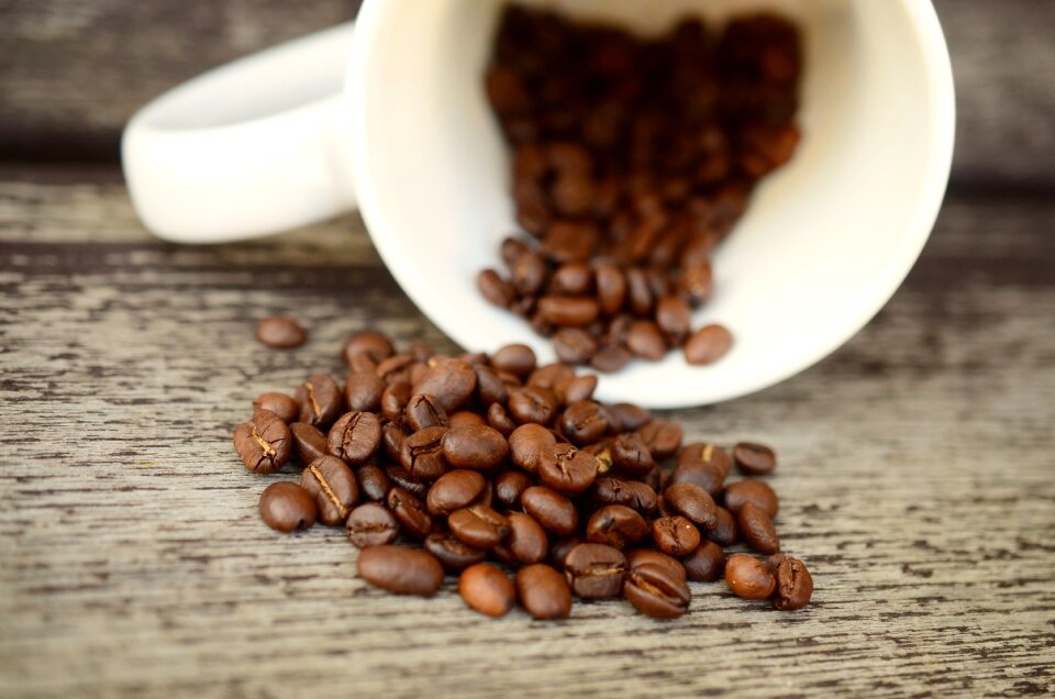 Beans roasted brown