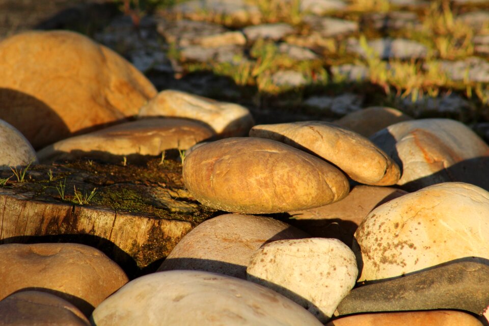 Deforestation boulders tree
