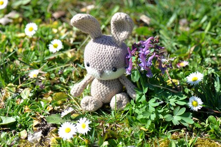 Figure flowers meadow