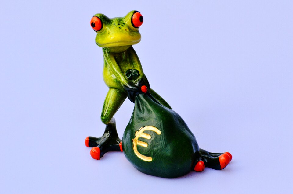 Bag money bag funny