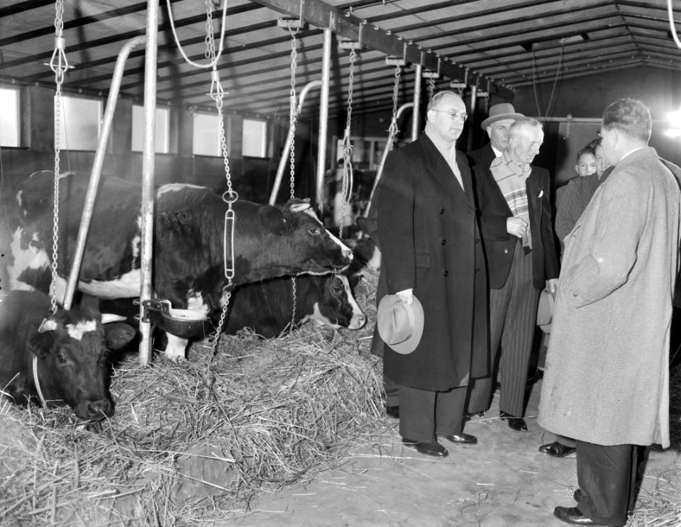 Minister Vondeling opent eerste boerderij van het Argotype in Horssen(Gelderland, Bestanddeelnr 910-0189