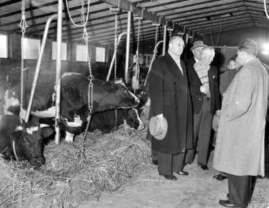 Minister Vondeling opent eerste boerderij van het Argotype in Horssen(Gelderland, Bestanddeelnr 910-0189