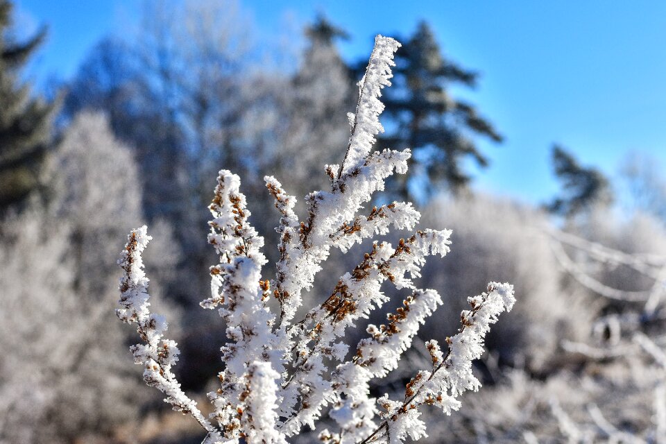 Landscape winter mood wintry photo