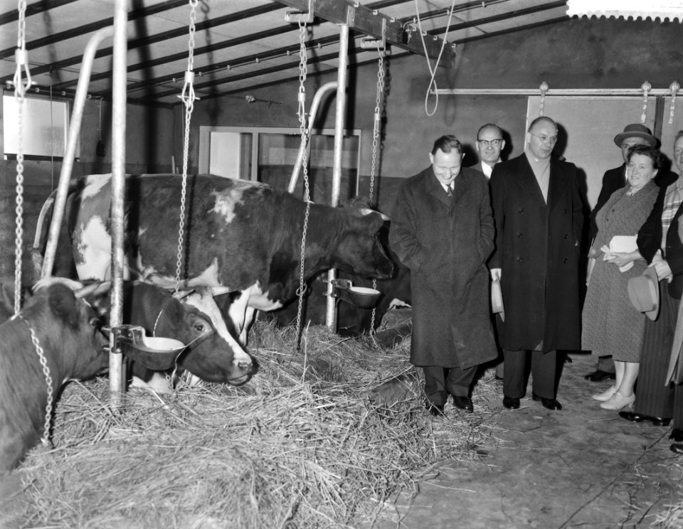 Minister Vondeling opent eerste boerderij van het Argotype in Horssen(Gelderland, Bestanddeelnr 910-0190