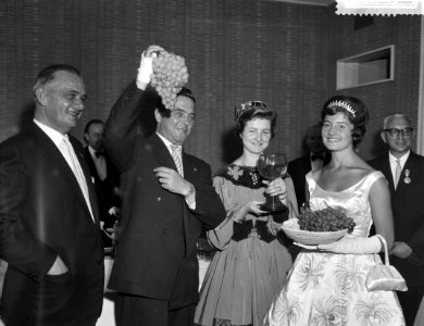 Minister van Landbouw mr. V. G. M. Marijnen ontvangt de druivenprinses, Minister, Bestanddeelnr 910-6411