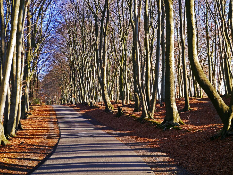 Hermann way ridge winter's day