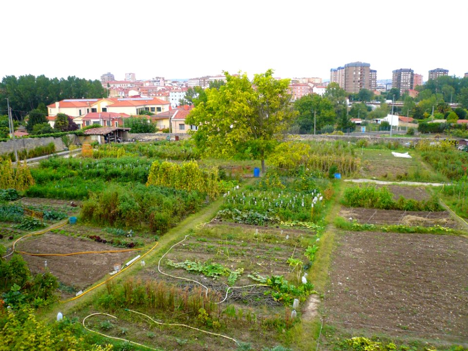 Miranda de Ebro - Huertas 1