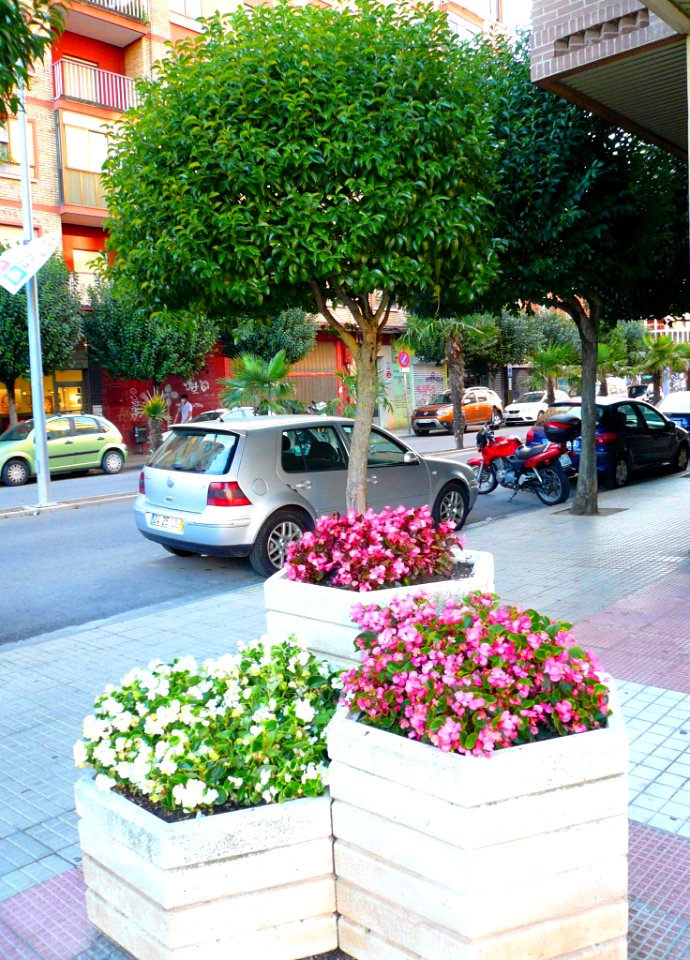 Miranda de Ebro - Calle Condado de Treviño 5