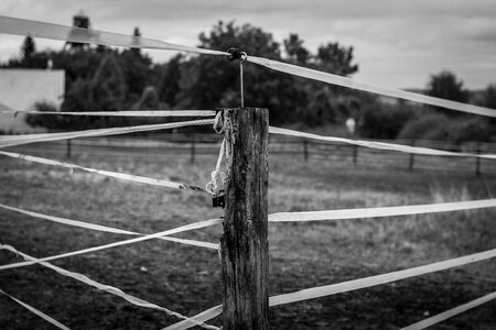 Fence grass countryside photo