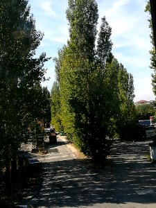Mirabilandia 92