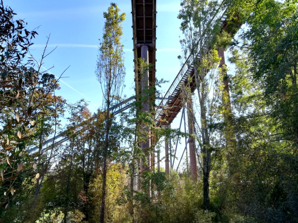 Mirabilandia 55