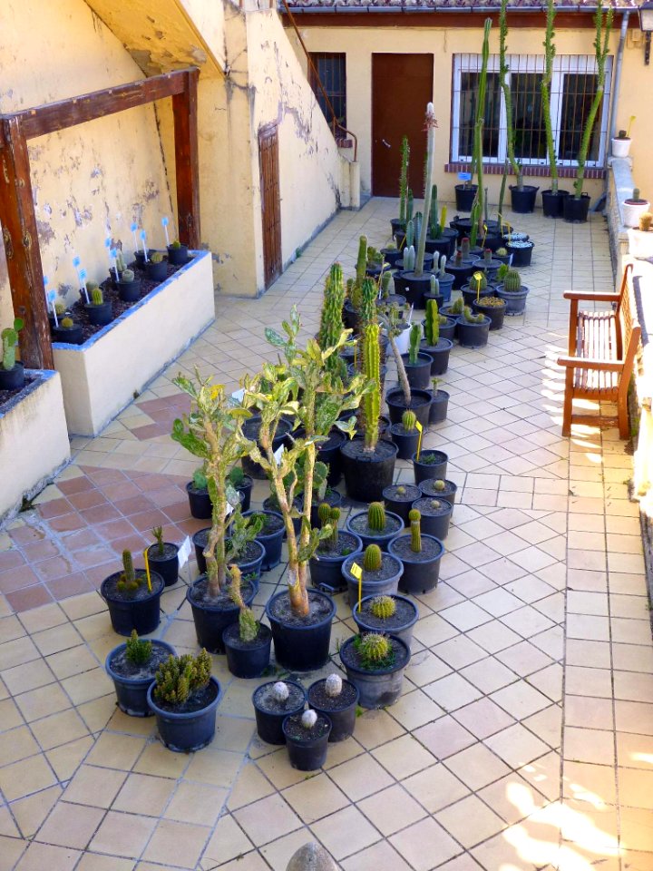 Miranda de Ebro - Centro de Interpretación de la Miranda Antigua (CIMA), Jardín Botánico 01