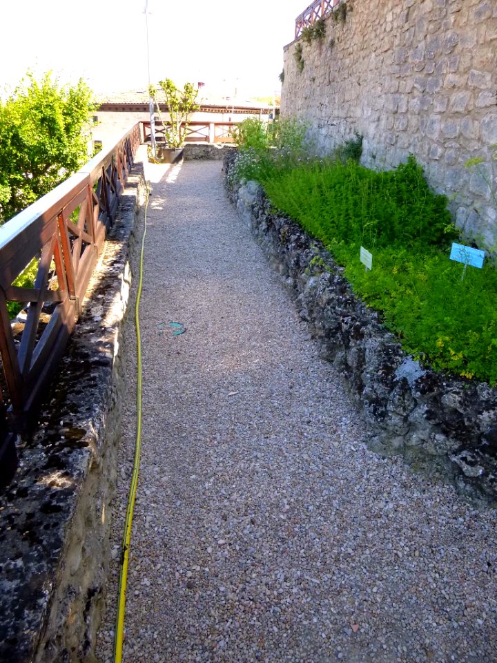 Miranda de Ebro - Centro de Interpretación de la Miranda Antigua (CIMA), Jardín Botánico 15