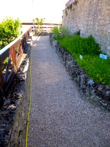 Miranda de Ebro - Centro de Interpretación de la Miranda Antigua (CIMA), Jardín Botánico 15