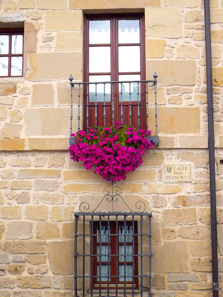 Miranda de Ebro - Casa de los Gil Delgado-Ocio 5