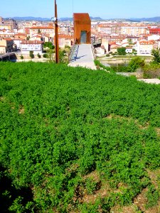 Miranda de Ebro - Centro de Interpretación de la Miranda Antigua (CIMA) 13