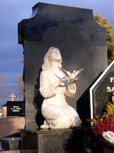 Miranda de Ebro - Cementerio Municipal de Altamira 19