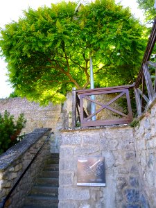 Miranda de Ebro - Centro de Interpretación de la Miranda Antigua (CIMA), Jardín Botánico 21