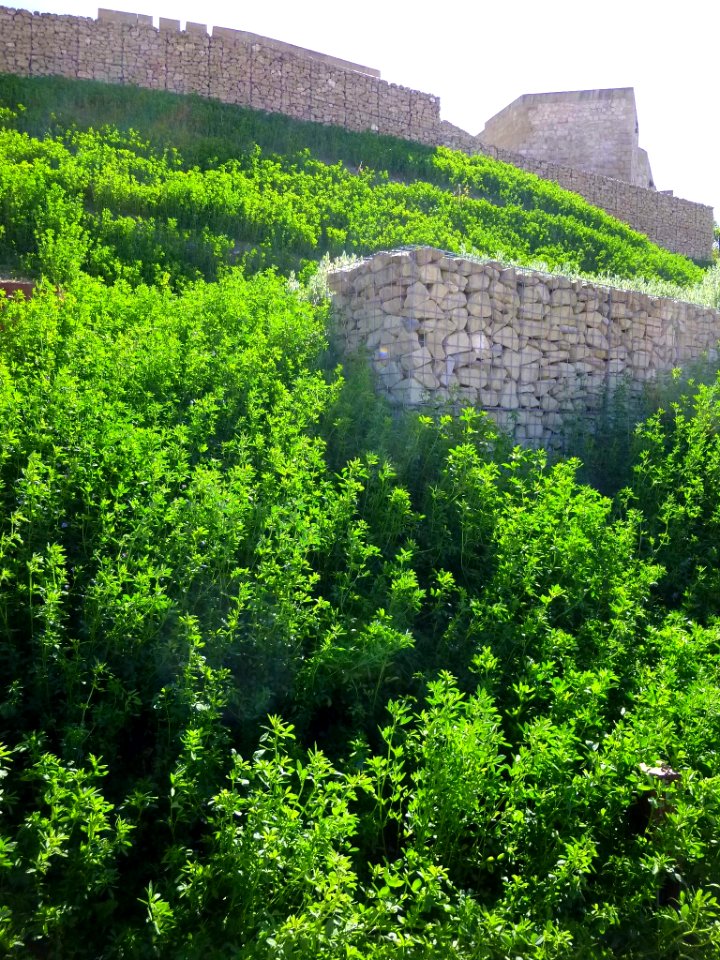 Miranda de Ebro - Centro de Interpretación de la Miranda Antigua (CIMA), Castillo 12