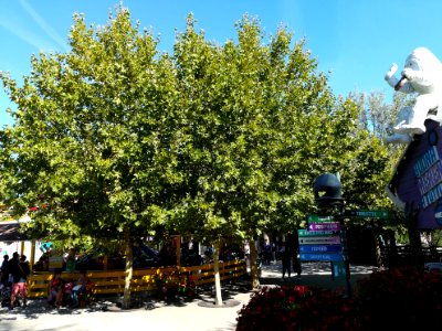Mirabilandia 39