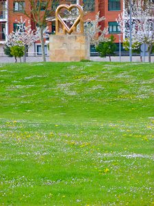 Miranda de Ebro - Parque Alcalde Emiliano Bajo 10