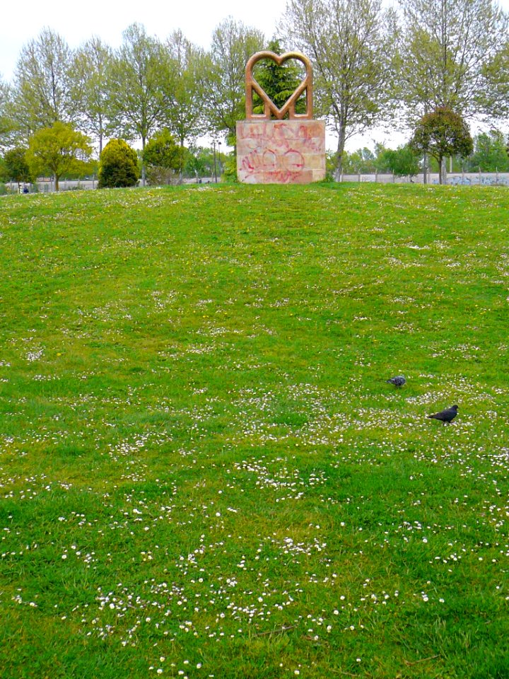 Miranda de Ebro - Parque Alcalde Emiliano Bajo 15