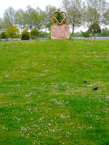 Miranda de Ebro - Parque Alcalde Emiliano Bajo 15