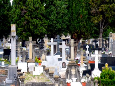 Miranda de Ebro - Cementerio viejo 04