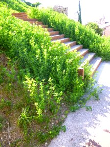 Miranda de Ebro - Centro de Interpretación de la Miranda Antigua (CIMA) 14