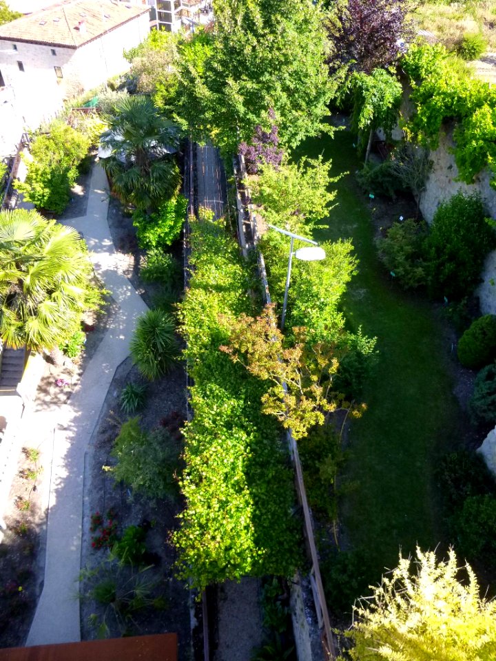 Miranda de Ebro - Centro de Interpretación de la Miranda Antigua (CIMA), Jardín Botánico 22