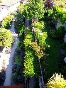 Miranda de Ebro - Centro de Interpretación de la Miranda Antigua (CIMA), Jardín Botánico 22
