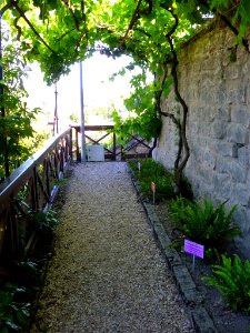 Miranda de Ebro - Centro de Interpretación de la Miranda Antigua (CIMA), Jardín Botánico 18