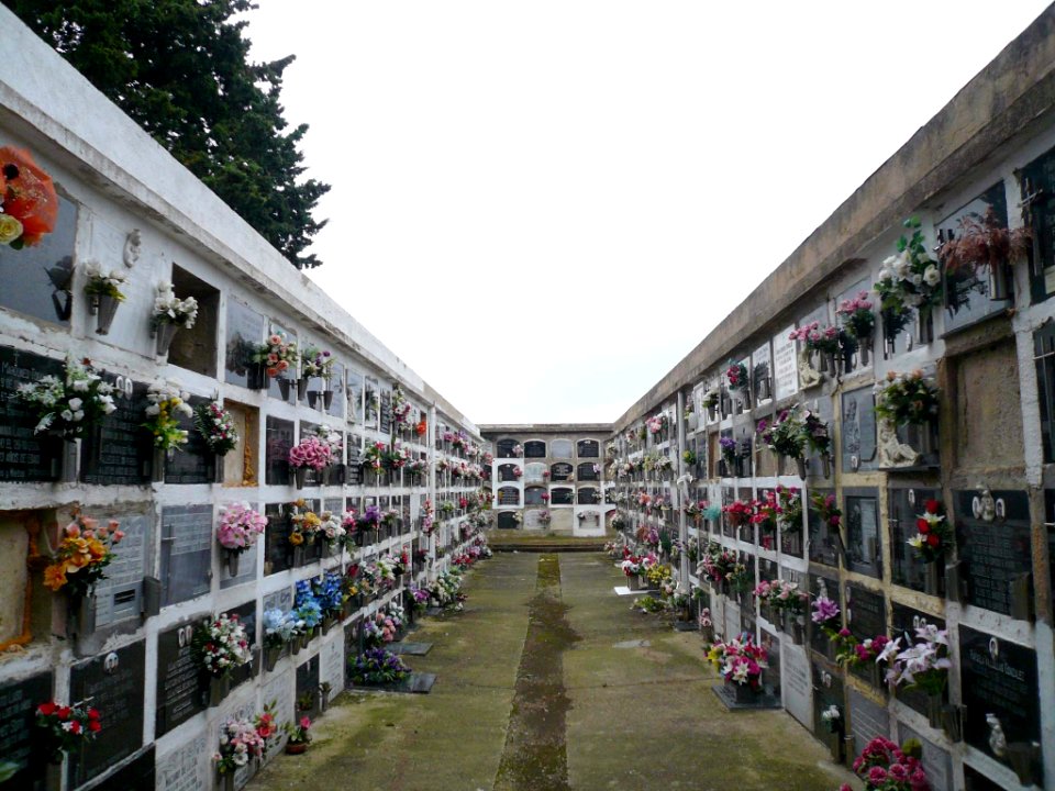 Miranda de Ebro - Cementerio viejo 19