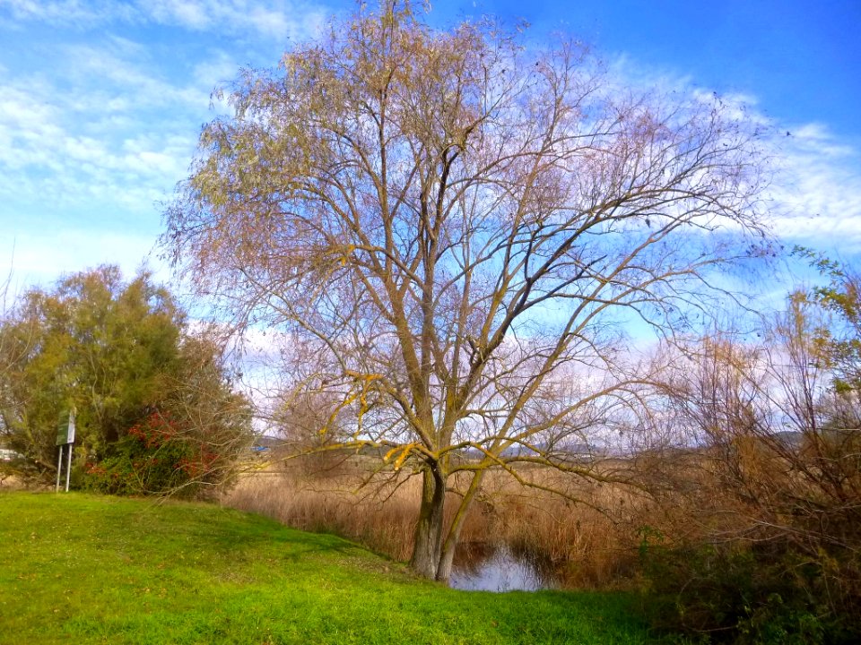 Miranda de Ebro - Laguna de Bayas 15