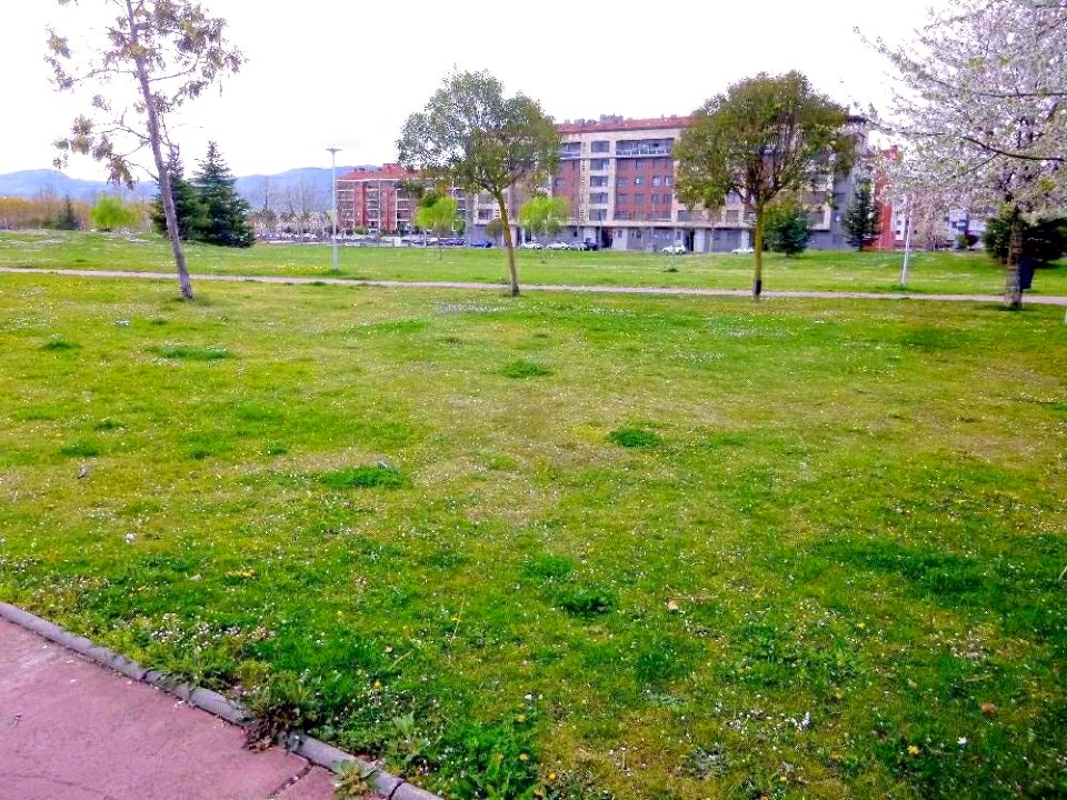 Miranda de Ebro - Parque Alcalde Emiliano Bajo 08